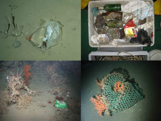 Illustration for article titled There's Garbage in the Deepest, Most Remote Parts of the Ocean